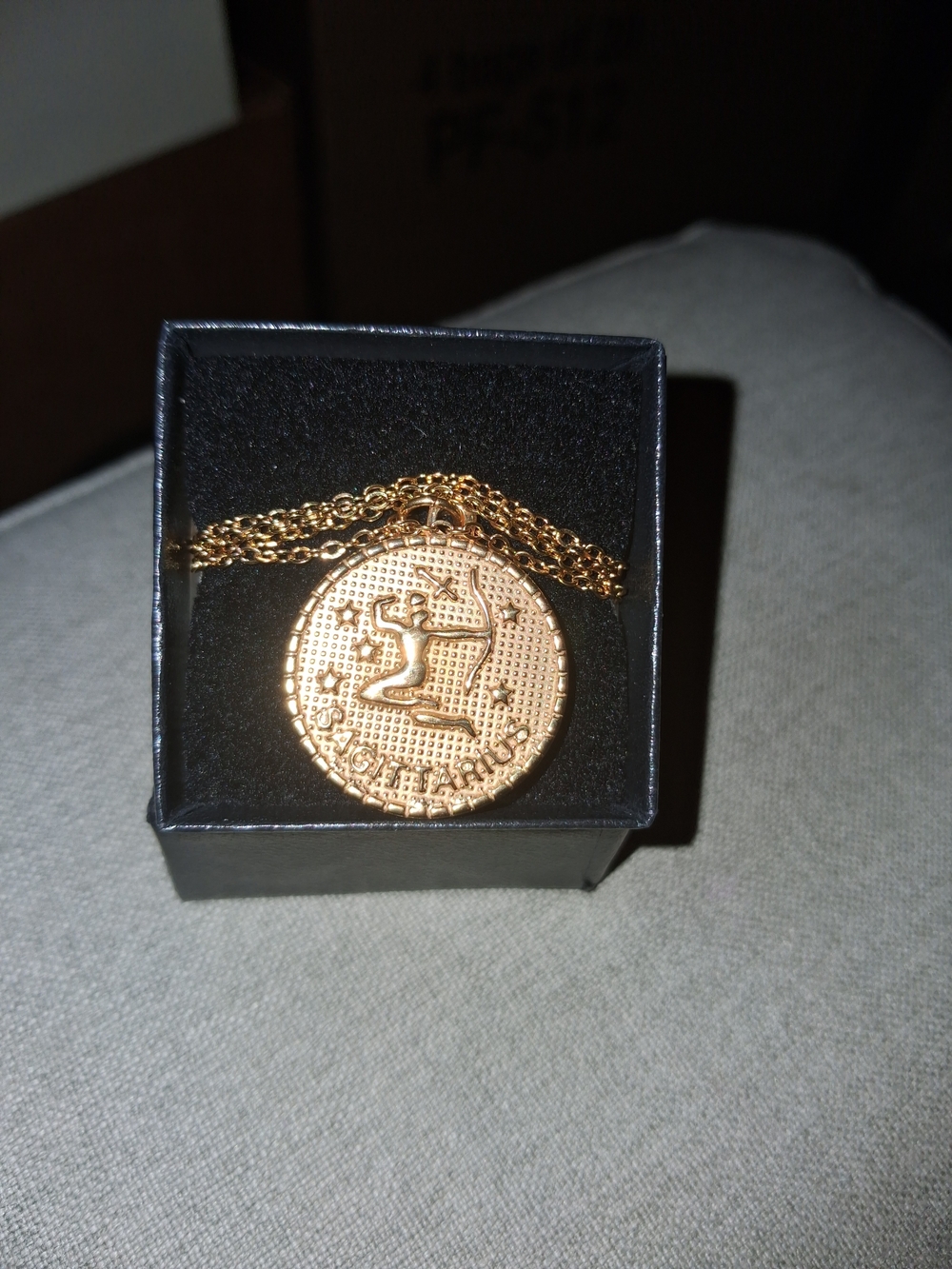 Men's Gold Coin Medallion Necklace Pendant
